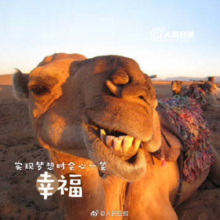 a716fd45ly1g2tj7rxse4j20dw0dwn17.jpg a716fd45ly1g2tj7rxse4j20dw0dwn17.jpg